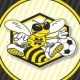 Sporting Hornets Roma